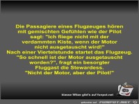 Die Passagiere eines Flugzeuges h�ren mit gemischten...