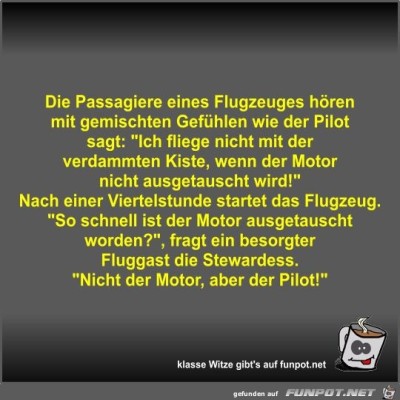 Die-Passagiere-eines-Flugzeuges-hören-mit-gemischten....jpg von Fossy