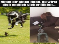 Sicher f�hlen mit Hund