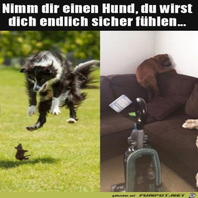Sicher-fühlen-mit-Hund.jpg von Runa