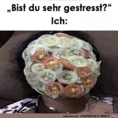 Gestresst.jpg von Leander
