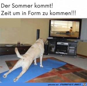 Der-Sommer-kommt.jpg auf www.funpot.net