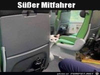 S��er Mitfahrer