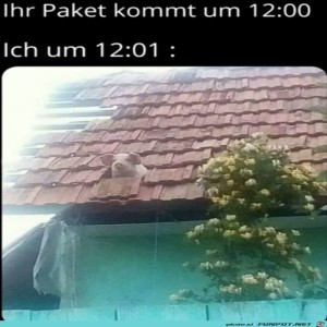 fun-Bild: Wo bleibt mein Paket?