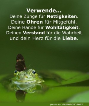 Guter-Rat.jpg auf www.funpot.net