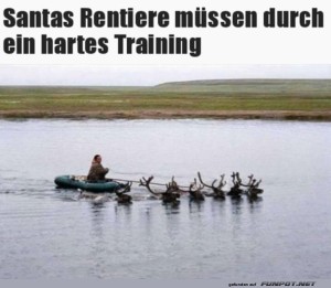 fun-Bild: Rentier-Training