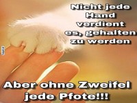 Vertrauen zwischen Mensch und Tier