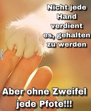 Vertrauen-zwischen-Mensch-und-Tier.jpg auf www.funpot.net