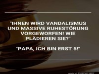 Kleiner Randalierer vor Gericht