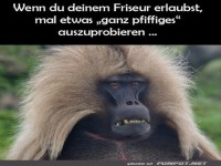 Affige Frisur-Experimente!