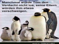 Familiengeheimnisse im Pinguinverse!