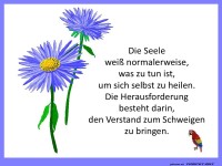 Die Seele wei was zu tun ist