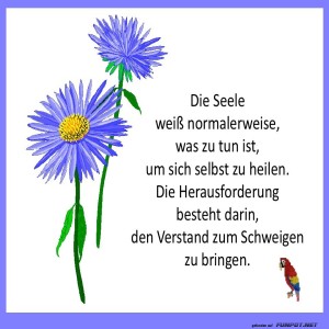 Die-Seele-weiß-was-zu-tun-ist.jpg von Sirene