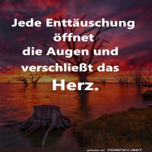 herz-Bild: Wenn B&auml;ume Drama machen