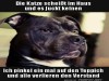 weiter