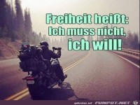 Freiheit heisst