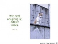 wer nicht neugierig ist