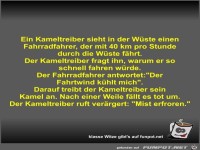 Ein Kameltreiber sieht in der W�ste einen Fahrradfahrer