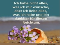 Habe nicht alles