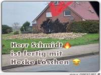 Hecke ist gel�scht