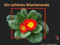 Ein schoenes Wochenende 8