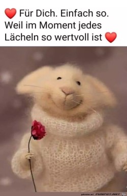 Ein-Lächeln-für-dich.jpg auf www.funpot.net