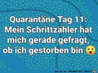 Mein Schrittz�hler fragt, ob ich gestorben bin