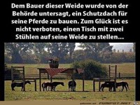 Ein Tisch und St�hle sind nicht verboten