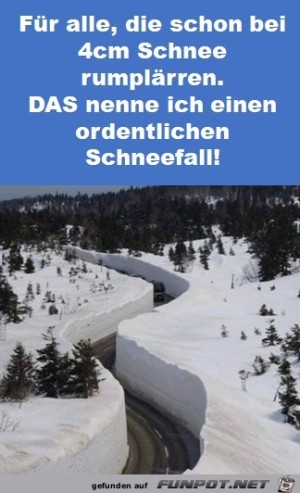 Das-ist-ein-Schneefall.jpg auf www.funpot.net