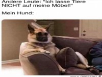 Tiere d�rfen nicht auf die M�bel