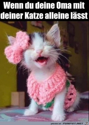 Katze-war-bei-Oma.jpg auf www.funpot.net
