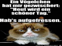 Ein V�gelchen