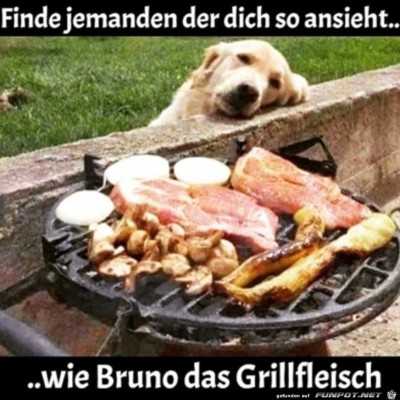 Dieser-Hundeblick.jpg von Theda