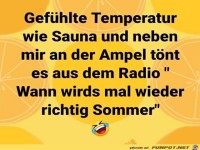 Gefühlte Temperatur