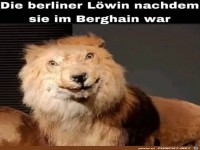 Da brauchst du nichts mehr