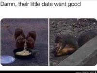 Das Date lief wohl gut