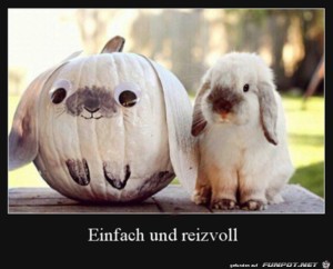 Wie-niedlich.jpg auf www.funpot.net