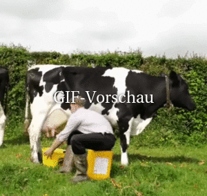 Die Milch macht den Tag