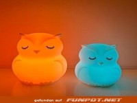 Eulen Nachtlicht