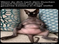 Einfach mal hinsetzen