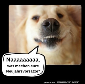 Was-machen-die-Vors�tze?.jpg auf www.funpot.net