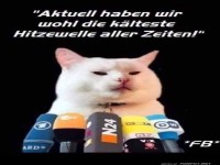 Katze erklrt: Klteste Hitzewelle der ra!
