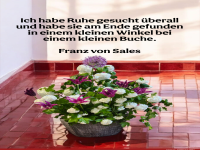 ich habe ruhe gesucht