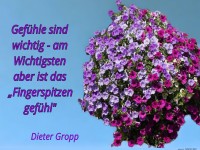 gefhle sind wichtig