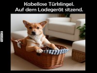 Der neue Hundeladeplatz: Klingel optional