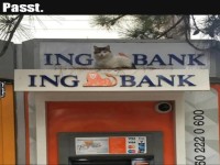 Bankgesch�fte auf K�tzisch