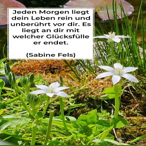 jeden-morgen-liegt-dein-leben.jpg von Fabioma