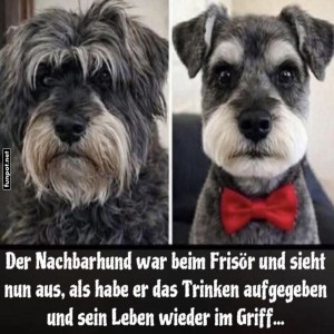 Vom-Zausel-zum-Gentleman.jpg von Ida-1969