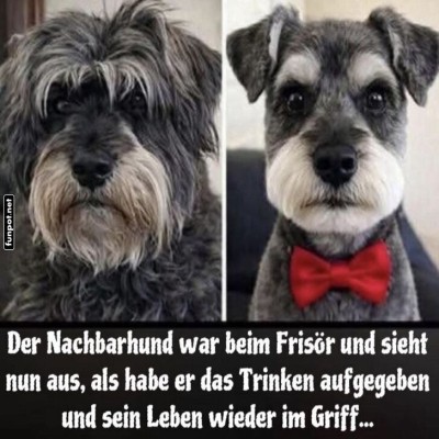 Vom-Zausel-zum-Gentleman.jpg von Ida-1969