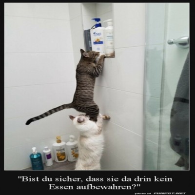 Ist-da-wirklich-nichts-Essbares?.jpg von Talia1999